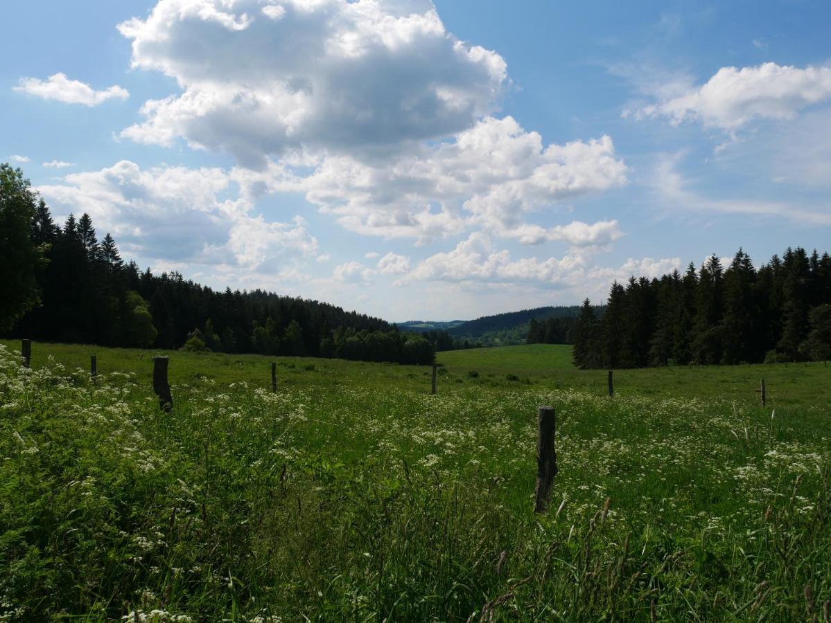 Pasecna Predni Vyton