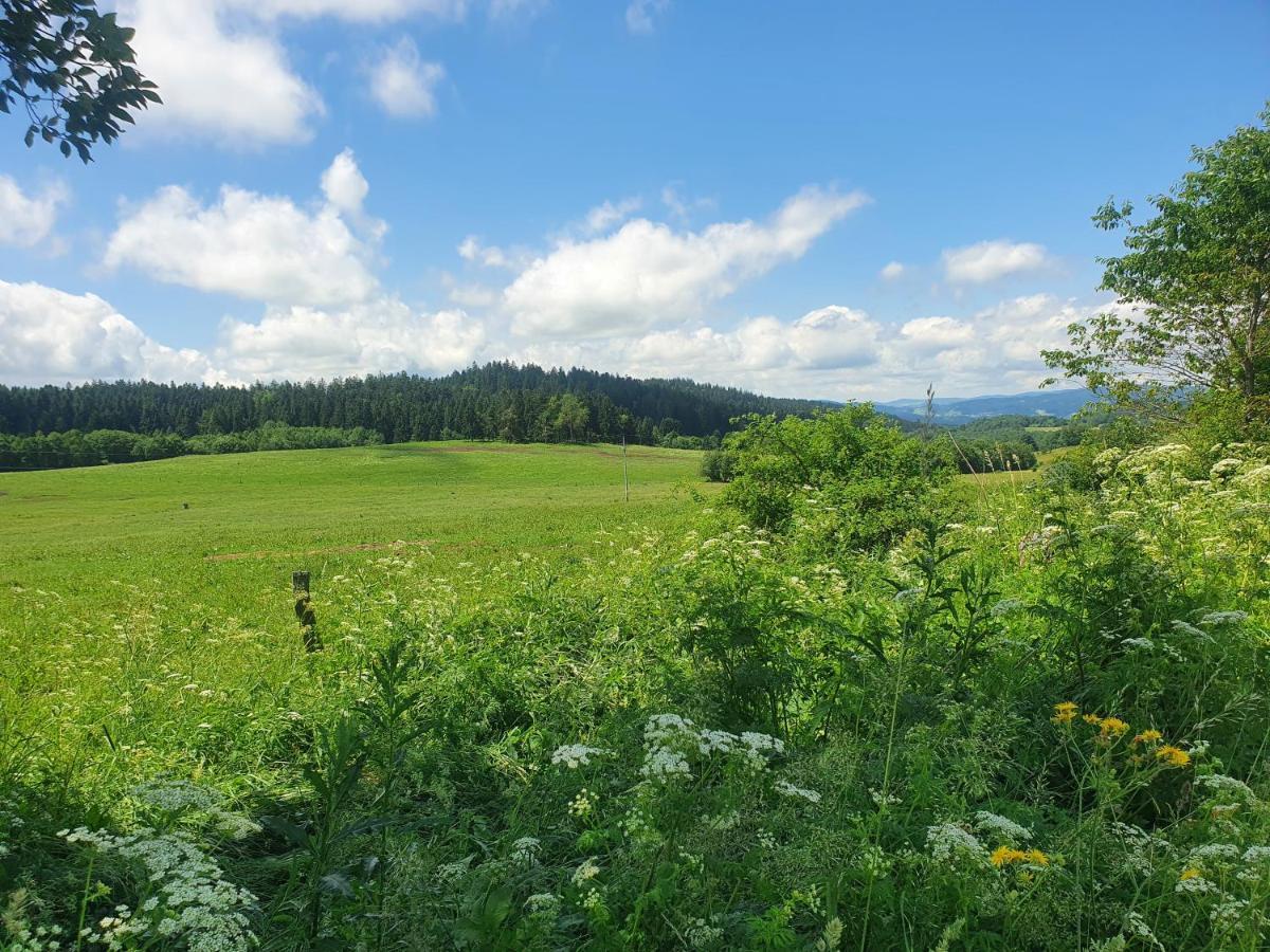 Pasecna Holiday home Predni Vyton
